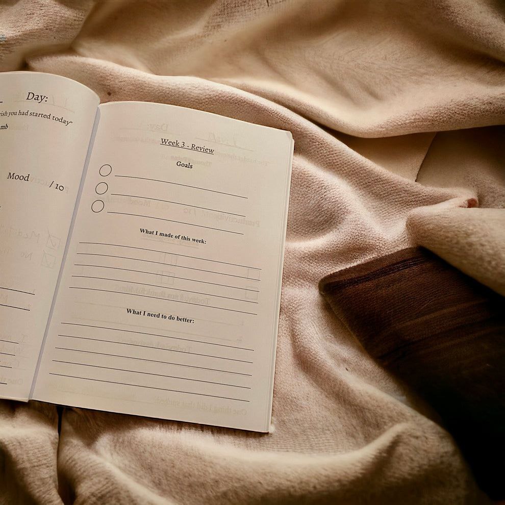 100 Day Goal Journal | Train Your Monkey Mind and Stay Consistent With Your Goals (ebook)