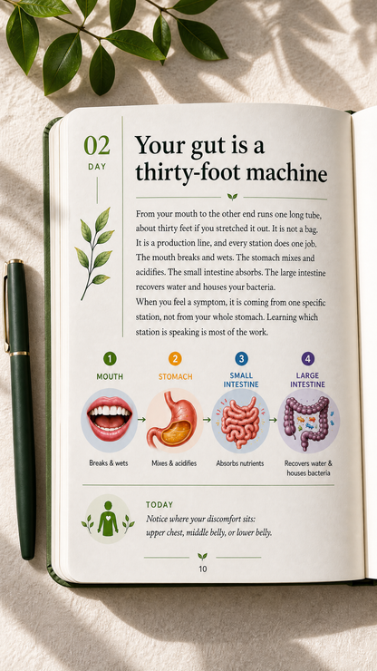 Heal Your Gut in the Next 90 Days — Gut Health Journal & Book | Track Bloating, Acidity, Gas & Find Your Trigger Foods