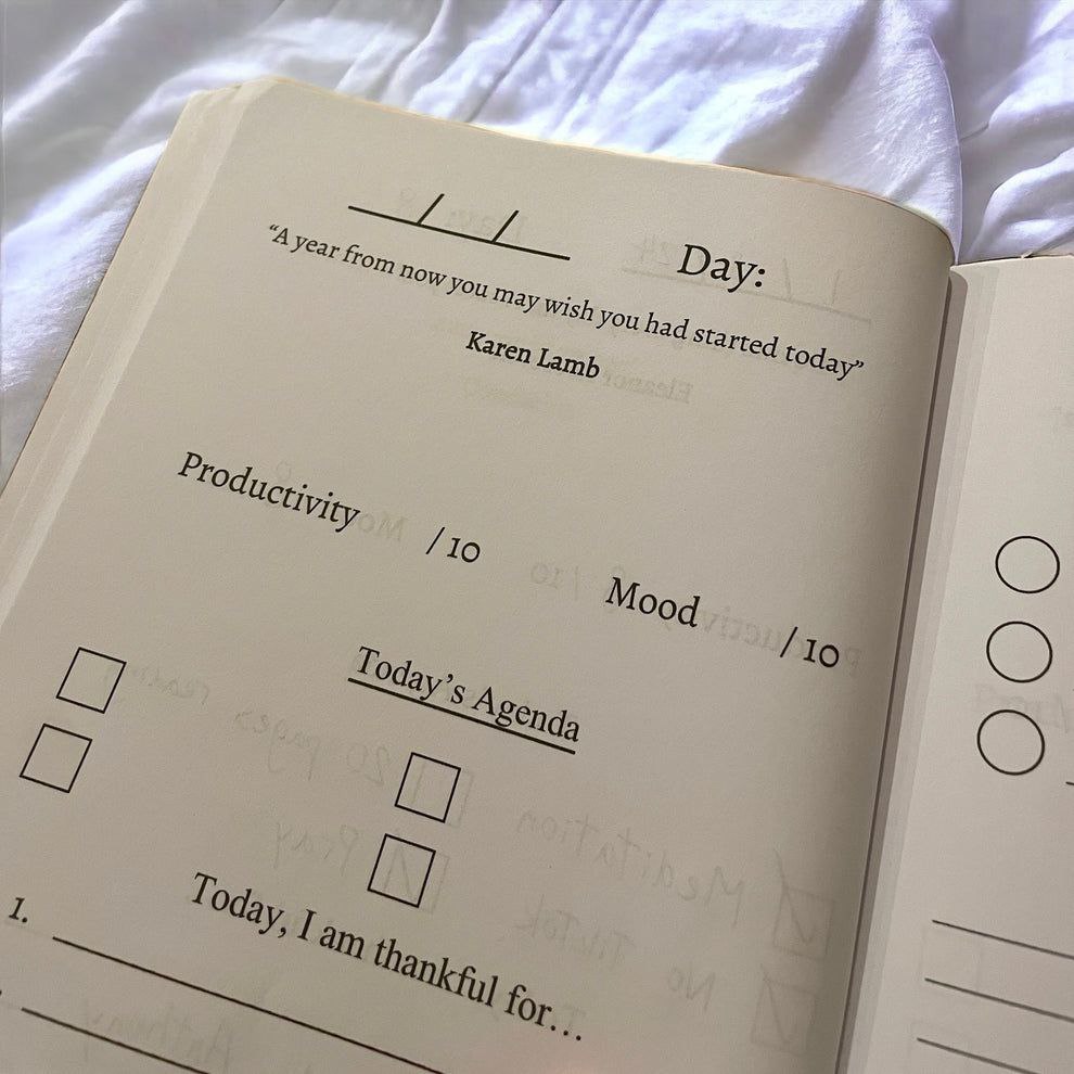 100 Day Goal Journal | Train Your Monkey Mind and Stay Consistent With Your Goals (ebook)
