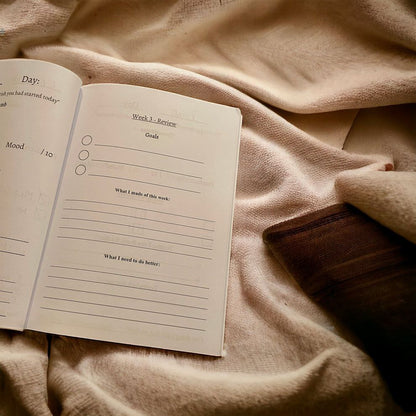 100 Day Goal Journal | Train Your Monkey Mind and Stay Consistent With Your Goals (ebook)